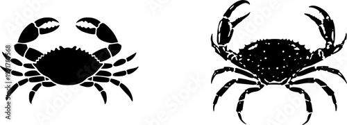 A stunning ultra-realistic photograph of a single raw Jonah Crab, with its rounded shell and black-tipped claws, is beautifully isolated on a pure white background