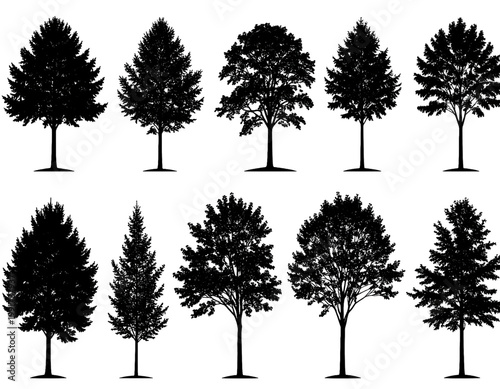 Collection of tree silhouettes forest nature set botanical shapes diverse plant forms isolated on white background
