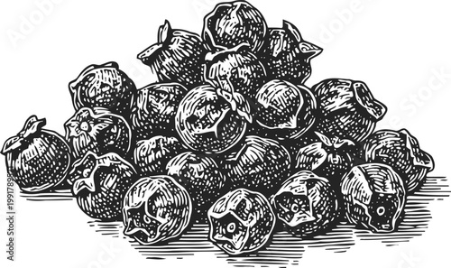 Hand drawn blueberries pile fresh berries detailed sketch natural fruit harvest, healthy organic food illustration