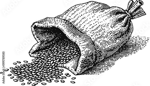 sack of spilled seeds vintage hand drawn grain bag with scattered small seeds on surface