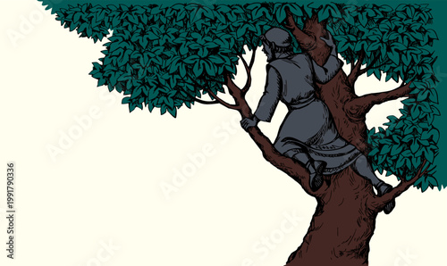 Vector drawing. Zacchaeus on the tree