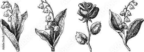 Hand drawn vintage flowers set with lily of the valley and rose botanical illustrations