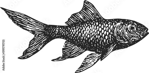 detailed black and white vintage fish illustration with textured scales and flowing fins