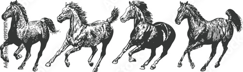 five black horses running together in a graceful, dynamic motion illustration