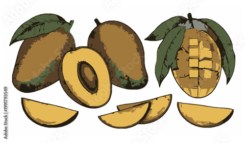 Vintage mango badge hand drawn sketch fruit vector illustration for organic label isolated on white background