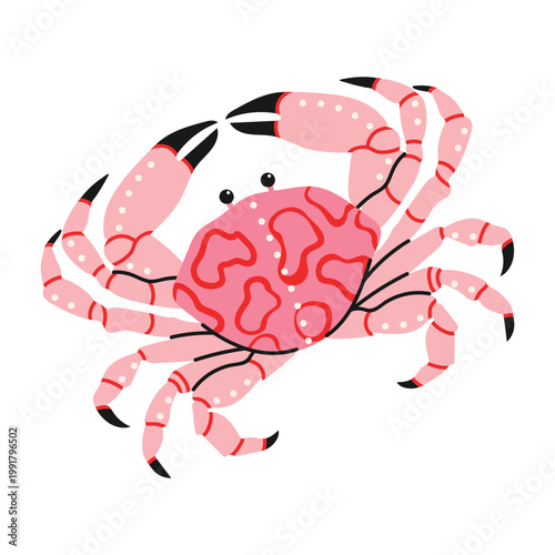 Cute hand drawn crad. Bright, playful marine collection for stickers, prints, kids, summer projects, posters. Doodle cartoon design isolated on white