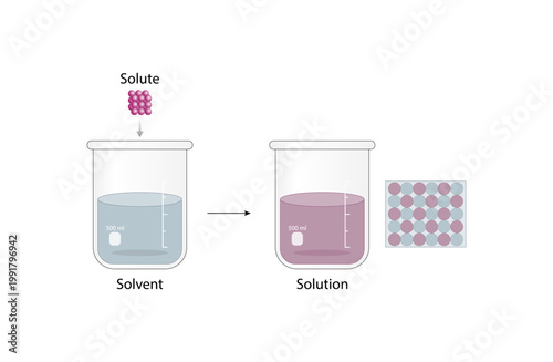 Solutions. Solubility homogeneous mixture. Solute, solvent and solution. Dissolving solids. Chemistry. Educational diagram. Beakers, isolated on white background. Vector illustration.