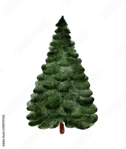Watercolor painting of a single green christmas tree. Watercolor painting of a single green christmas tree. Isolated on white background