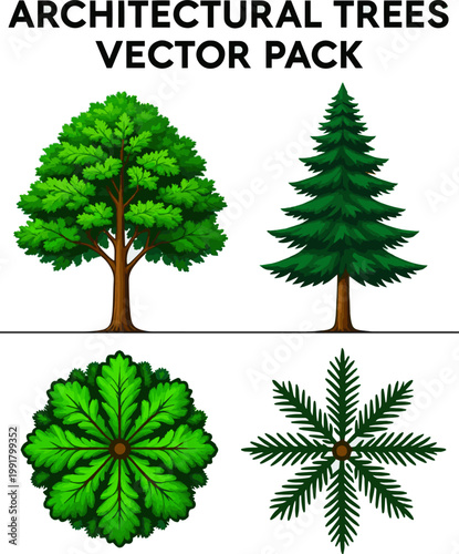 Create a realistic Vector pack of trees in elevation and plan view for use in architectural drawings vector art with white background..