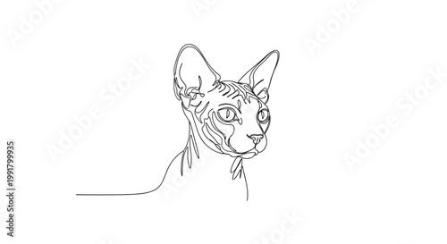 Sphynx cat head portrait line art on white background