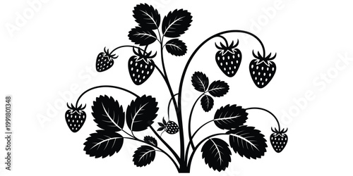 Strawberry plant silhouette, stems leaves fruit artwork, botanical gardening agriculture design concept, nature food farming flat vector illustration