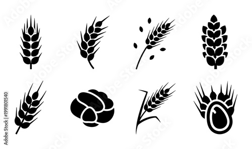 Wheat ear icons set, black cereal grain silhouettes, 8 organic barley and rye vector elements for bakery logos and agricultural branding