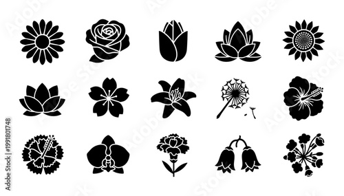 Minimalist black flower icons set, 15 floral vector silhouettes, flat botanical symbols including rose lily and sunflower for logo design
