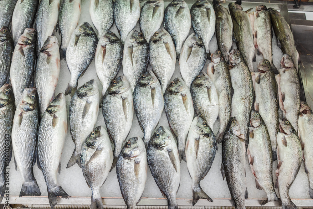 Obraz premium Fresh dorado sea bream and trout fish assortment displayed on ice at seafood market