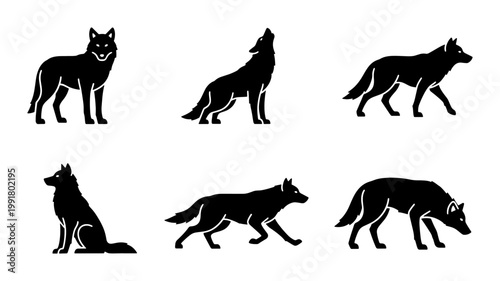 Black wolf silhouette icons set, wild animal vector collection, howling and walking wolves in flat style, 6 predator silhouettes for logo design