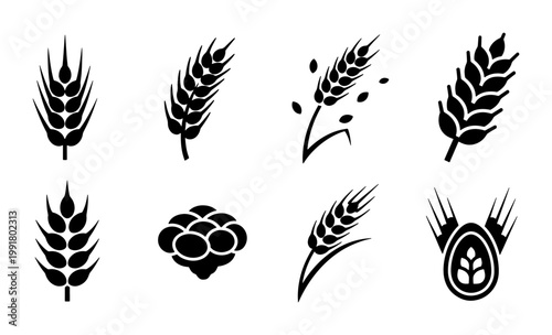 Minimalist wheat ear icons set, black cereal grain silhouettes, organic barley and rye stalks vector collection for bakery and brewery branding