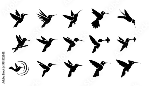 Minimalist hummingbird silhouette icons, set of 15 black bird vector graphics, flying colibri symbols for logo design and branding