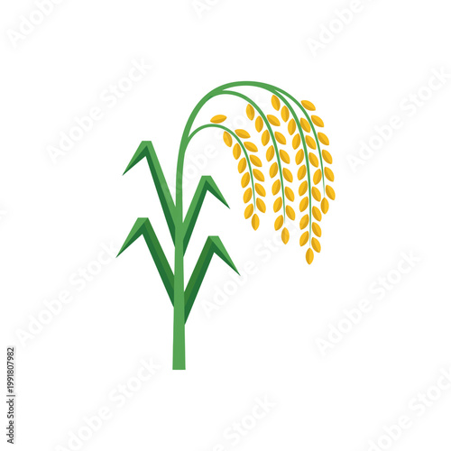 Simple rice plant icon, clean paddy crop vector with grains on white.