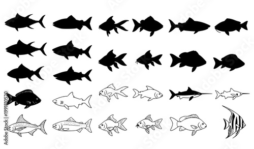 Fish silhouettes vector set in black and white with realistic aquatic animal icons isolated on white