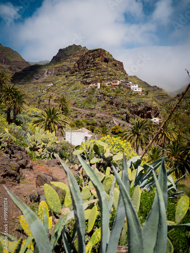 Mountain hiking trail with wooden fence overlooking dramatic valley landscape in La Gomera, Canary Islands