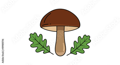 A solitary brown-capped mushroom with a sturdy tan stem stands prominently between two vibrant green oak leaves on a clean white background under bright illumination.