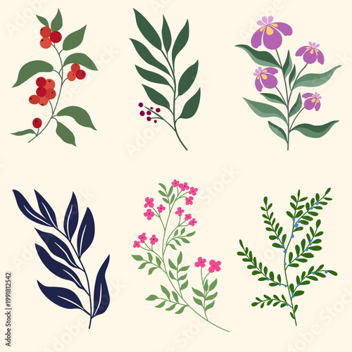 Set of Botanical Leaf and Wildflower Illustrations on Cream Background