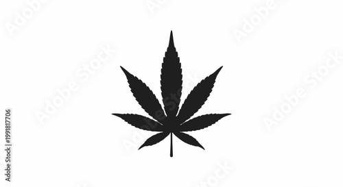 A stark black silhouette of a cannabis leaf against a white background, highlighting its iconic shape