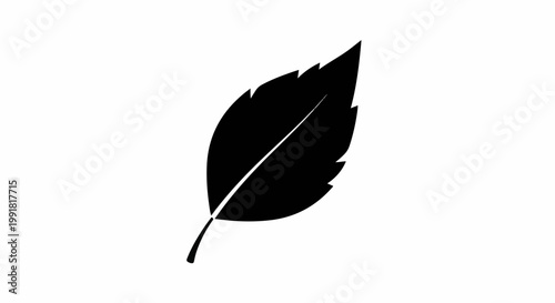 A stark black silhouette of a single leaf with serrated edges and a central vein
