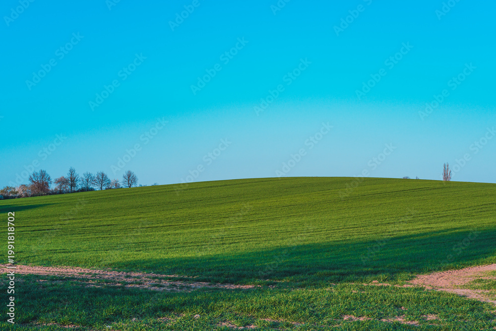 Naklejka premium green field in the hills