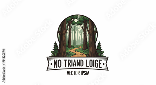 A sun-dappled forest path winds through towering trees, leading to a serene, verdant clearing