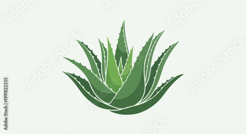 A stylized illustration of a lush aloe vera plant with pointed, green leaves
