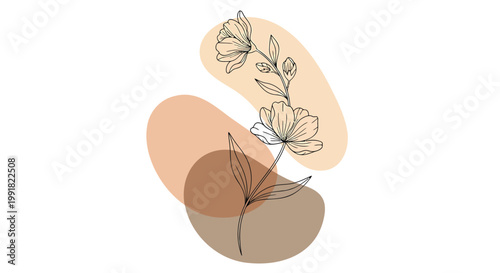 Minimalist bohemian floral abstract shapes, boho chic vector illustration, neutral earthy tones, modern decorative design element