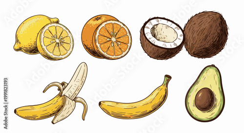 A vibrant collection of fresh fruits, including lemons, oranges, coconuts, bananas, and avocado, illustrated in a detailed style