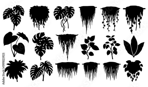 Tropical plant vine silhouette side view vector jungle foliage set