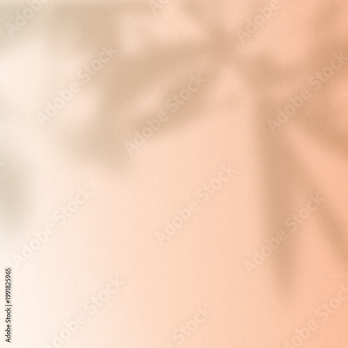 Canvas Print Soft peach background with blurred leaf shadows