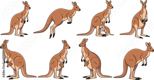 Set of Kangaroo Illustrations with Different Poses Including Jumping Standing and Mother with Baby Joey Isolated on Clean Background for Wildlife and Nature Design