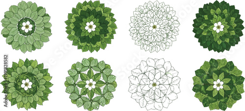 Abstract botanical patterns resembling stylized flower arrangements in greyscale and color variations Vector