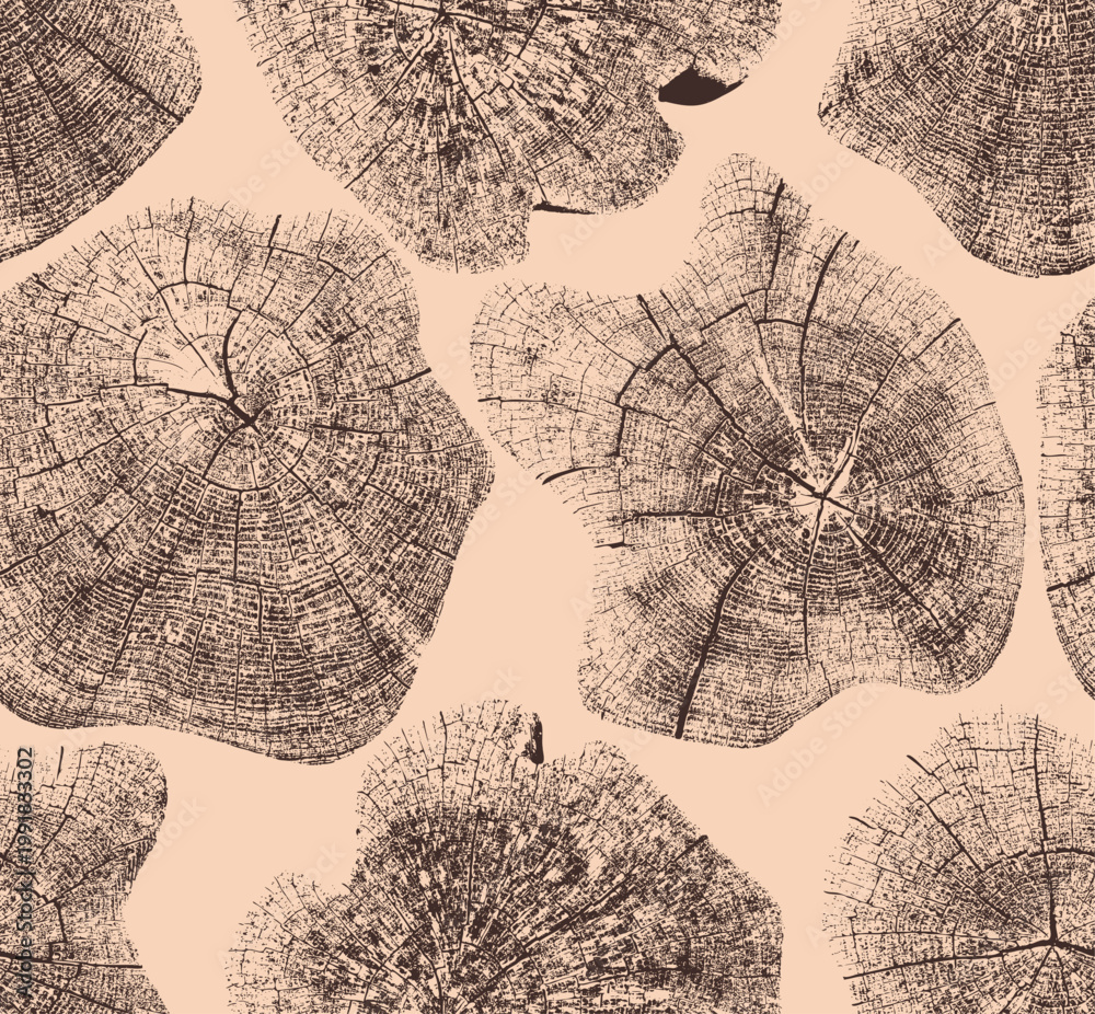 Fototapeta premium Tree growth rings seamless pattern with close up trunk sections. Natural wood stamp textures showing growth layers, detailed for organic design elements, backgrounds. Vector wood texture, tree, rings.
