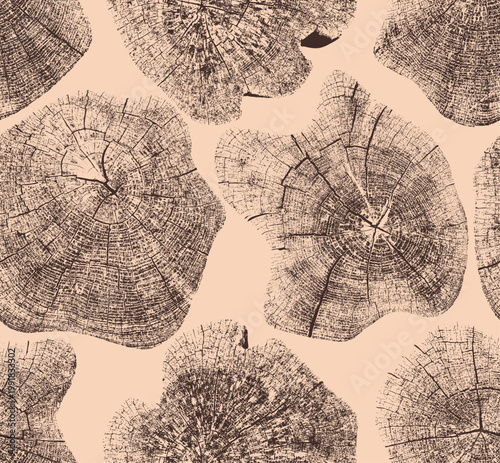 Tree growth rings seamless pattern with close up trunk sections. Natural wood stamp textures showing growth layers, detailed for organic design elements, backgrounds. Vector wood texture, tree, rings.