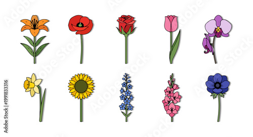 Diverse Garden Flower Vector Set, Botanical Collection of Colorful Blooms for Landscape Design, Floral Arrangements and Pattern Illustration