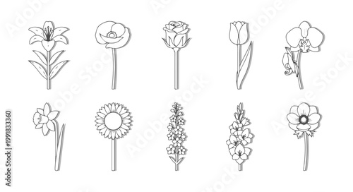 Botanical Flower Vector Set, Minimalist Floral Figures with White Fill and Clean Black Outlines for Technical Landscape Drafting and Pattern Design