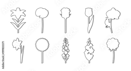 Garden Flower Outline Vector Set, Thin Line Botanical Figures for Architectural Documentation, Floral Wireframe Scene Design and Minimalist Illustration