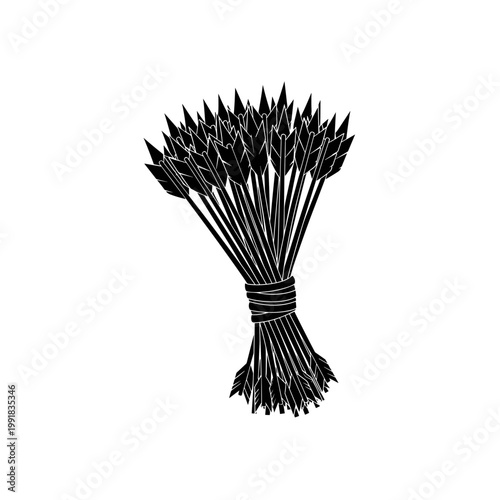 Bundle of sharp metal arrows tied.