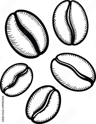 Coffee beans hand drawn sketch vintage engraving style illustration isolated set