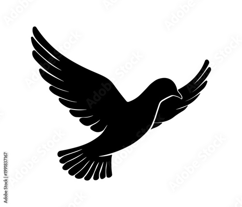 Black flying pigeon dove silhouette, without background.