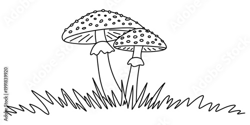 A black and white line drawing of two spotted mushrooms growing in a patch of wild green grass Vector, illustration