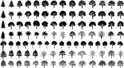 A diverse collection of black and white tree silhouettes in various shapes and sizes Vector
