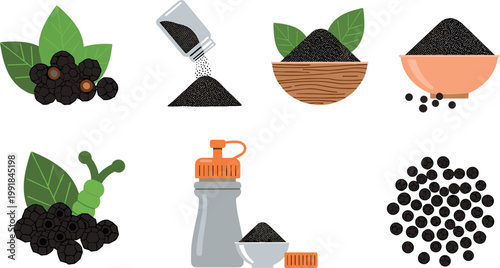 Black pepper spice collection with seeds powder grinder and plant elements cooking ingredient vector illustration set