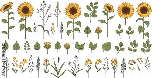 Beautiful Sunflower and Wildflower Botanical Collection Featuring Yellow Floral Blooms and Green Leaves for Autumn Wedding Invitations, Summer Garden Graphics, and Natural Decor Illustrations