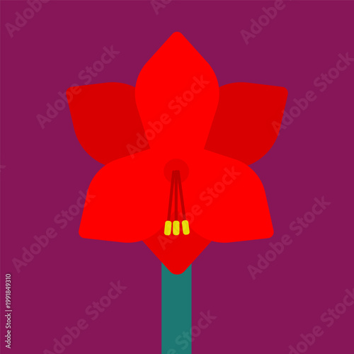 Vector illustration with isolated icon of Amaryllis on burgundy background. Beautiful flower with six red button, green stem. Flat minimalist style with simplified shapes